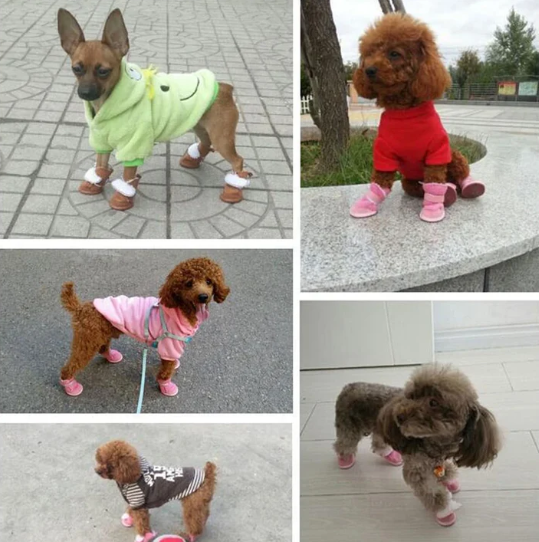 You are currently viewing Paw-sitive Protection: Why Anti-Slip Dog Boots are a Must for Your Furry Friend