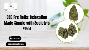 Read more about the article CBD Pre Rolls: Relaxation Made Simple with Society’s Plant