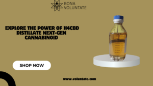 Read more about the article Explore the Power of H4CBD Distillate Next-Gen Cannabinoid