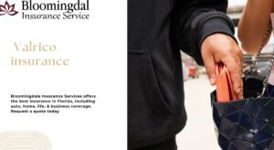 Read more about the article Trusted Valrico Insurance Solutions by Bloomingdale Insurance Services