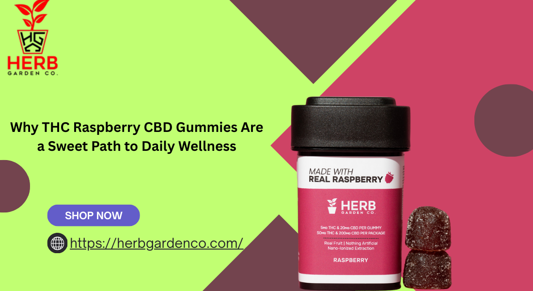 You are currently viewing Why THC Raspberry CBD Gummies Are a Sweet Path to Daily Wellness
