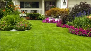 Read more about the article Landscaping Services Lafayette, LA
