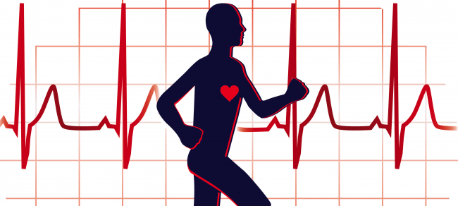 Read more about the article How Does Exercise Relate to Heart Disease?