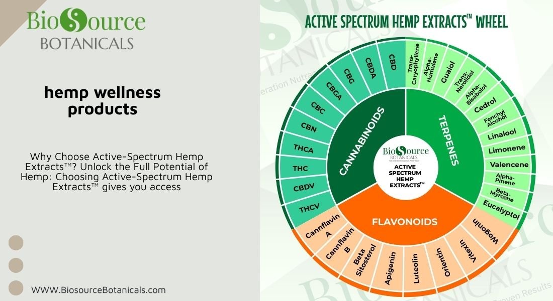 Read more about the article Active Spectrum™: Elevating Hemp Wellness Through Cannabinoid Synergy