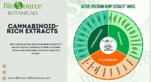Read more about the article Benefits of Cannabinoid-Rich Extracts: Harnessing the Power of Hemp