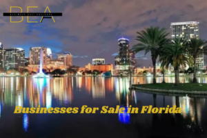 Read more about the article A Complete Guide to Due Diligence When Buying a Business in Florida