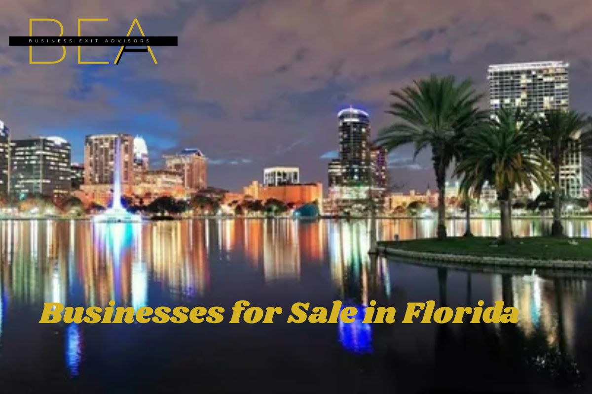 Read more about the article A Complete Guide to Due Diligence When Buying a Business in Florida