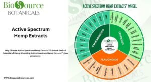 Read more about the article Discover  the Power of Active Spectrum: Hemp Wellness Products That Work