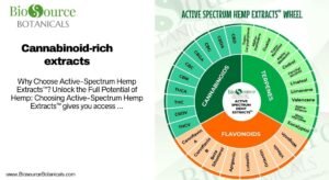 Read more about the article  Discover the Power of Cannabinoid-Rich Extracts: A Deep Dive into Active Spectrum™ Hemp Wellness