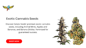 Read more about the article Rare Exotic Cannabis Seeds: Unique Strains for Elite Growers