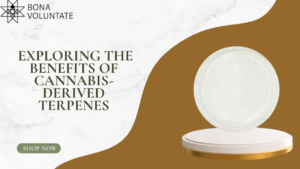 Read more about the article Exploring the Benefits of Cannabis-Derived Terpenes