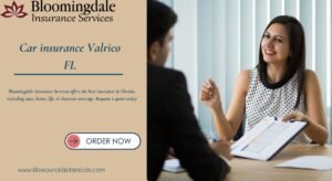 Read more about the article Get Reliable Car Insurance Valrico FL with Bloomingdale Insurance Services
