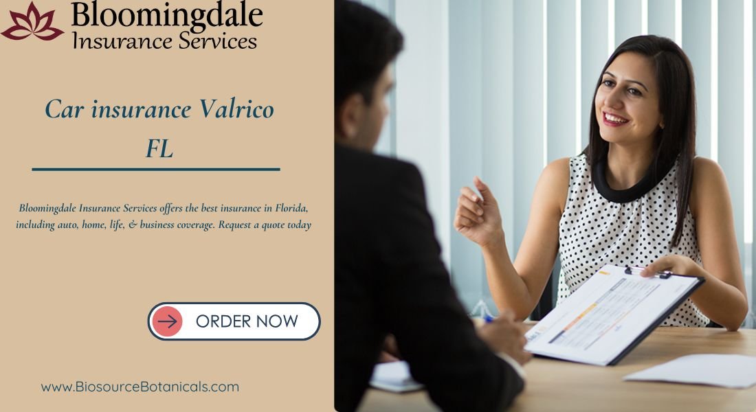 You are currently viewing Get Reliable Car Insurance Valrico FL with Bloomingdale Insurance Services