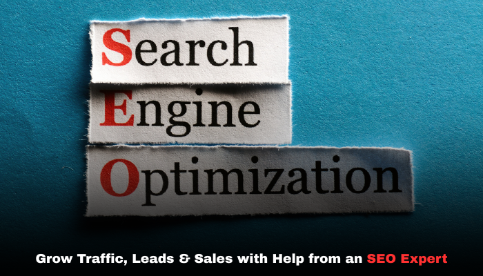 You are currently viewing Grow Traffic, Leads & Sales with Help from an SEO Expert