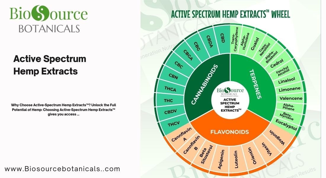 Read more about the article The Benefits of Active Spectrum Hemp Extracts for Wellness and Relief