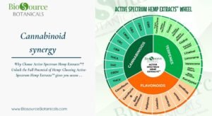 Read more about the article The Power of Cannabinoid Synergy: Unlocking Whole-Plant Wellness with Active Spectrum