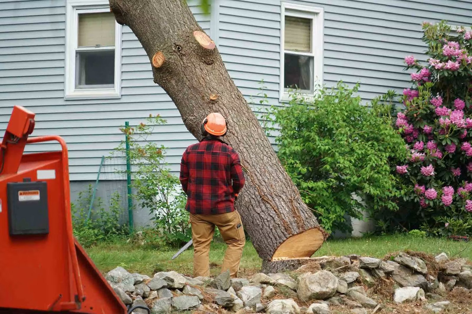 You are currently viewing Safe and Affordable Tree Removal Services Near You
