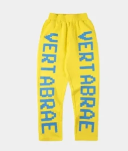 Read more about the article Why Vertabrae sweatpants is Perfect For Everyone