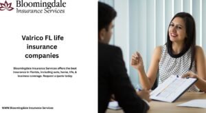 Read more about the article Why Bloomingdale Insurance Services Stands Out Among Valrico FL Life Insurance Companies