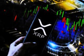 Read more about the article How I Earned 500 XRP in 30 Days Without Trading or Stressing About the Market