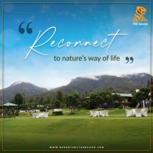 Read more about the article Divine Journeys & Divine Stays: Visiting Kainchi Dham with a Touch of Luxury