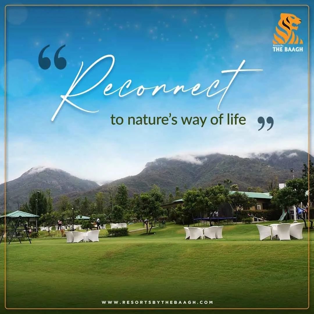 You are currently viewing Monsoon Magic in Jim Corbett: Experience the Rain at Resorts By The Baagh