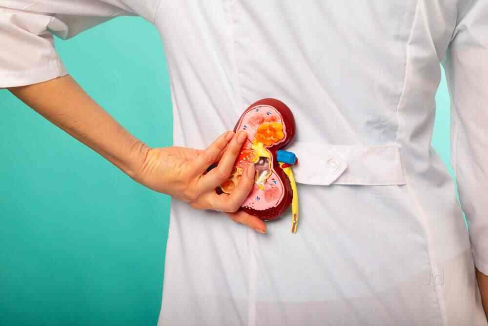 You are currently viewing Laser Surgery for Kidney Stones: Best Doctors in Jaipur Offering Modern Solutions