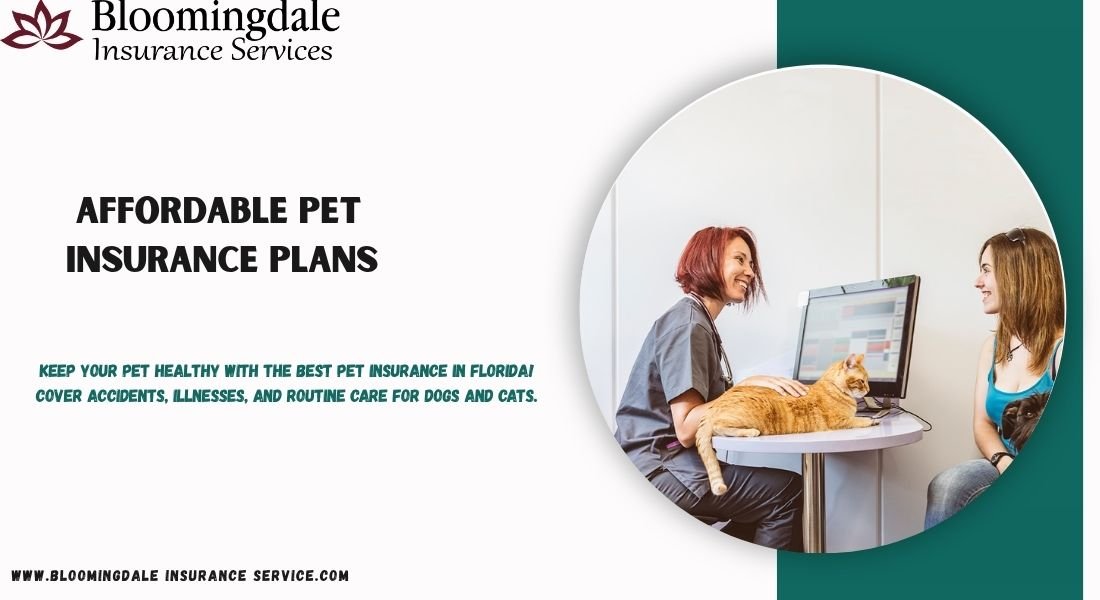 You are currently viewing  Affordable Pet Insurance Plans by Bloomingdale Insurance Services