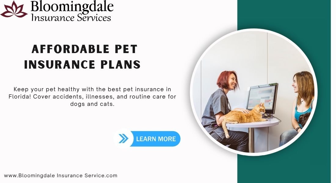 Read more about the article Affordable Pet Insurance Plans with Bloomingdale Insurance Services