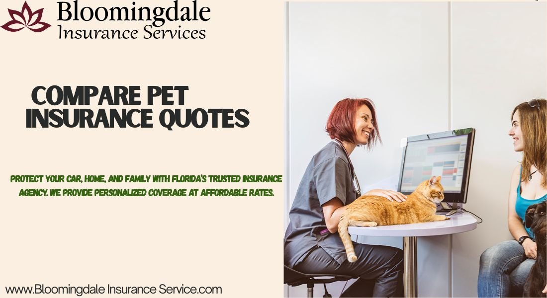 You are currently viewing Compare Pet Insurance Quotes with Bloomingdale Insurance Services
