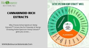 Read more about the article Experience Whole-Body Wellness with Cannabinoid-Rich Extracts from Active Spectrum