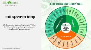 Read more about the article Experience the power of Active Spectrum™: How Full-Spectrum Hemp Elevates Everyday Wellness