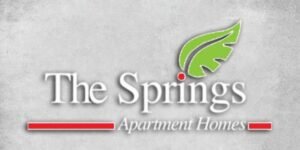 Read more about the article Why The Springs Apartment Homes Are Perfect for Families