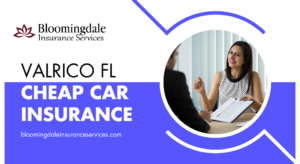 Read more about the article Valrico FL Cheap Car Insurance: Affordable Coverage with Bloomingdale Insurance Services