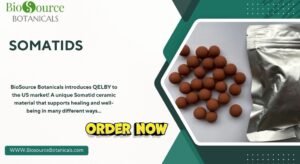 Read more about the article What Are Somatids? Discover How QELBY Ceramic Balls Transform Your Water and Wellness