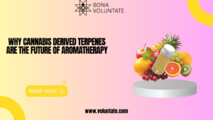 Read more about the article Why Cannabis Derived Terpenes Are the Future of Aromatherapy