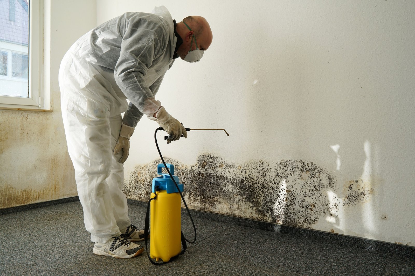 You are currently viewing Experts Handle Water Damage Cleanup Fast Near You