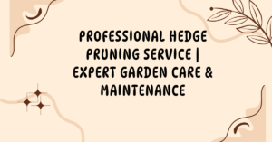 Read more about the article Professional Hedge Pruning Service | Expert Garden Care & Maintenance