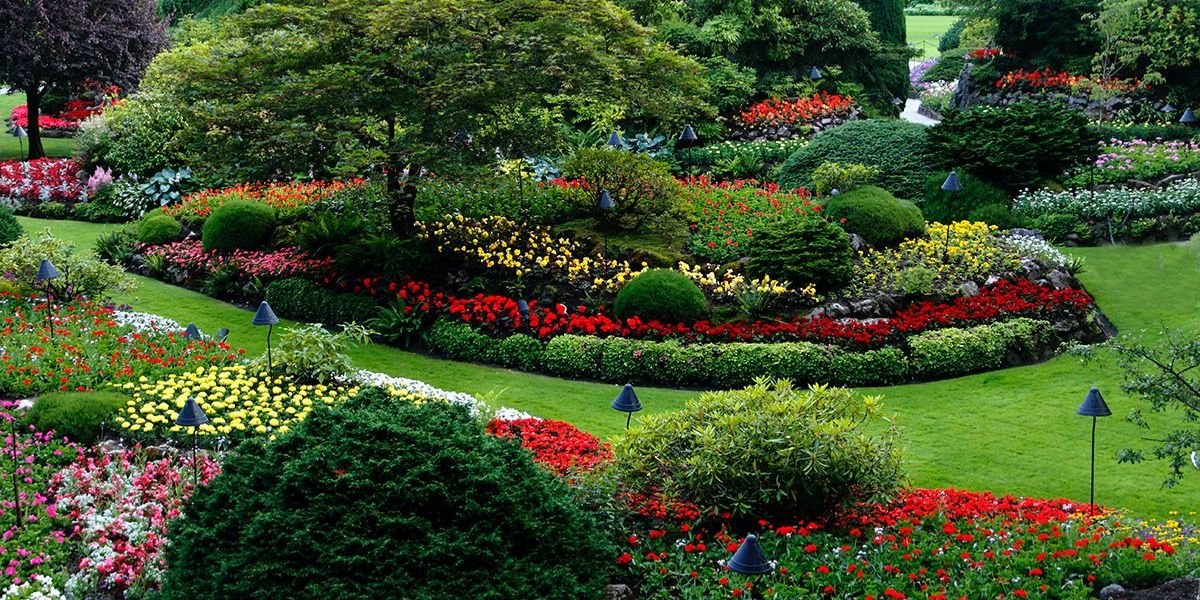 Read more about the article How Landscape and Irrigation Design Increases Property Value