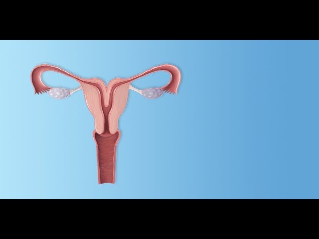 You are currently viewing Why Couples Are Choosing Bangalore for IVF Treatment