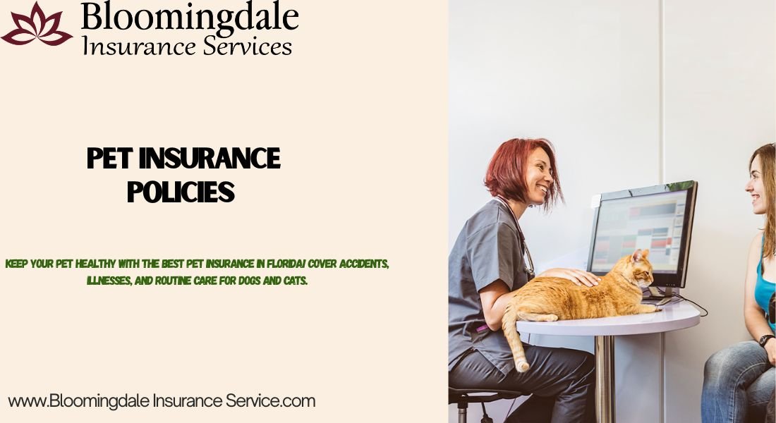 You are currently viewing Comprehensive Pet Insurance Policies with Bloomingdale Insurance Services