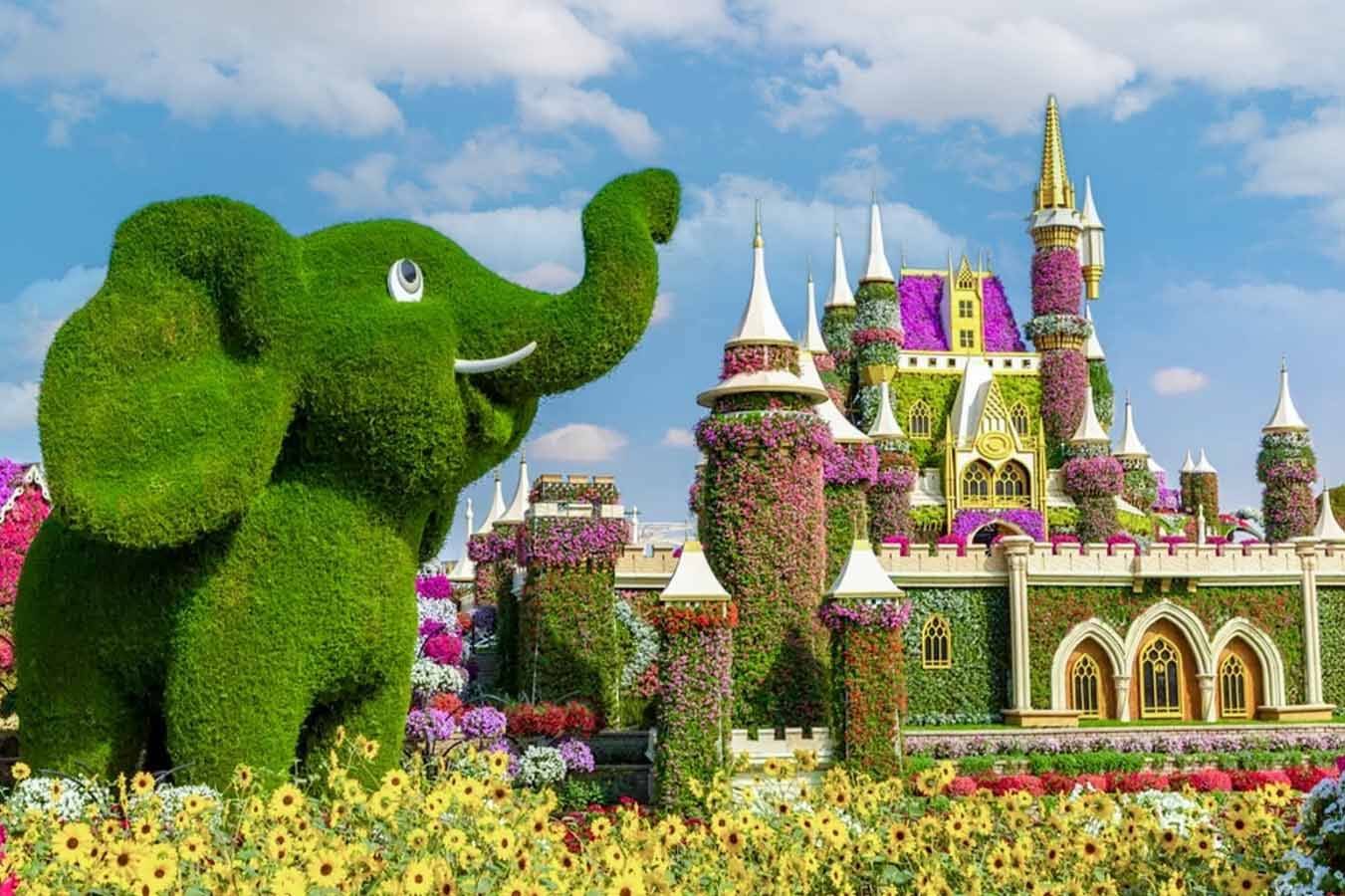 Read more about the article Blooming Wonders: Your Complete Guide to Dubai Miracle Garden 2025