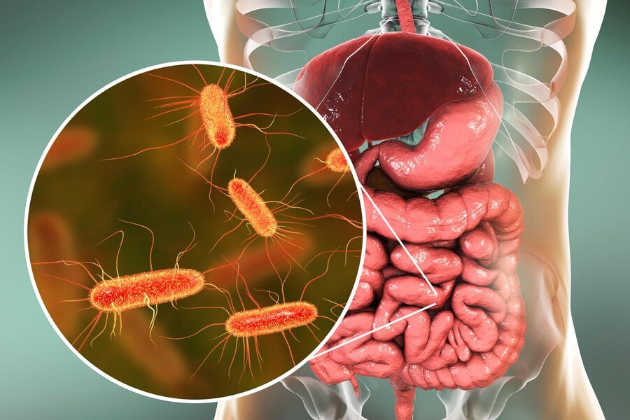 You are currently viewing How Does Albendazole Works Against Tapeworms?