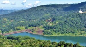 Read more about the article Eco-Tourism in Sri Lanka: A Rising Travel Trend You Shouldn’t Miss