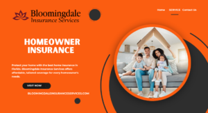 Read more about the article Protect Your Property with Homeowner Insurance by Bloomingdale Insurance Services