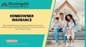 Read more about the article Protect Your Valrico Home with Homeowner Insurance by Bloomingdale Insurance Services
