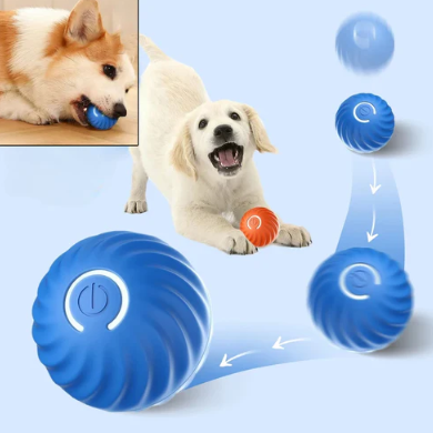 Read more about the article Interactive Dog Toy Ball: Self-Moving, Bouncing & Rolling Fun for Pets