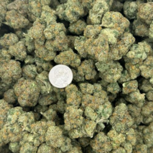 Read more about the article Navigating the Euphoric Tides of the Amnesia Coast Strain