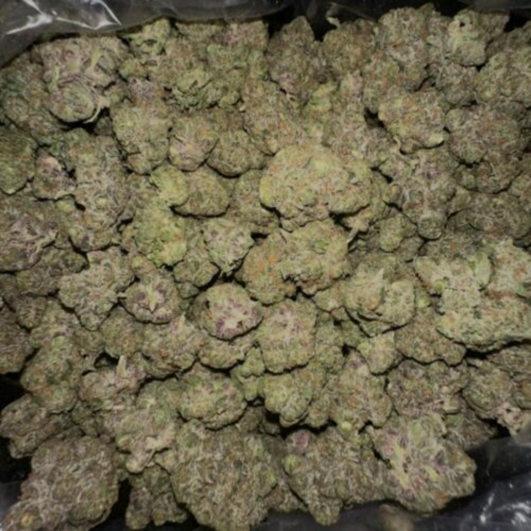 Read more about the article Discovering the Delightful Qualities of Apple Fritter Strain