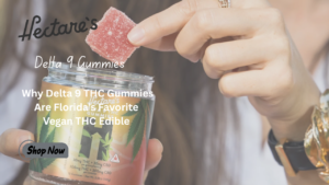 Read more about the article Why Delta 9 THC Gummies Are Florida’s Favorite Vegan THC Edible